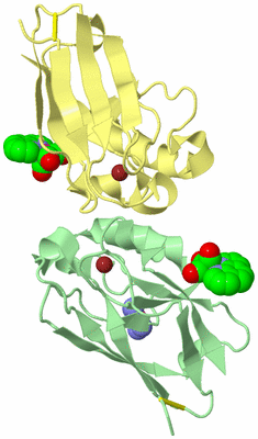 Image Biological Unit 2