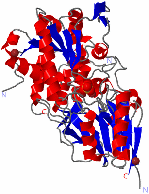 Image Asym./Biol. Unit