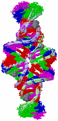 Image NMR Structure - all models