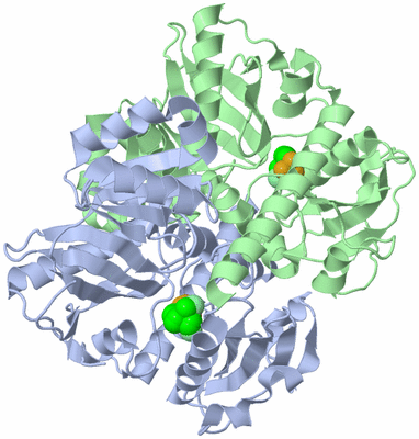 Image Asym./Biol. Unit