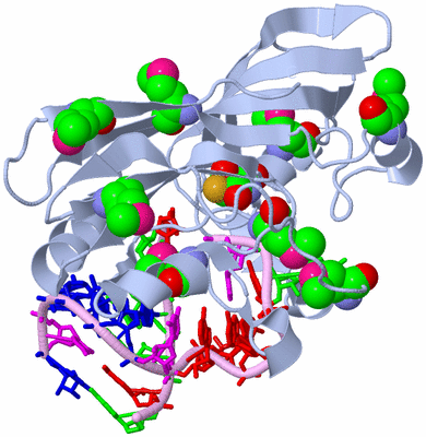 Image Biological Unit 1