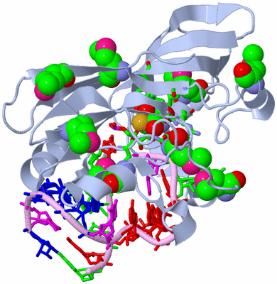 Image Biol. Unit 1 - sites