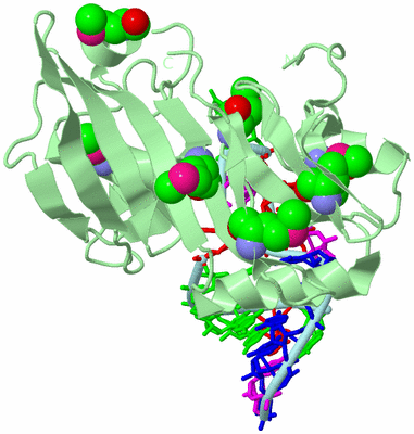 Image Biological Unit 2