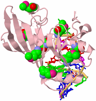 Image Biological Unit 3