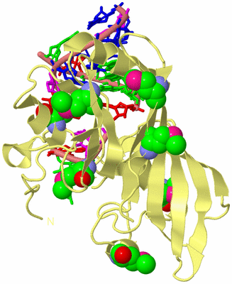 Image Biological Unit 4