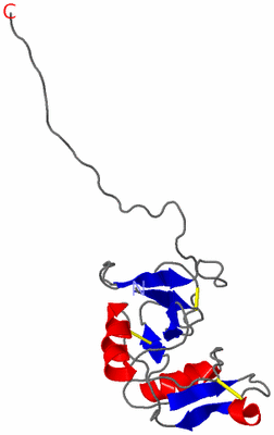 Image NMR Structure - model 1