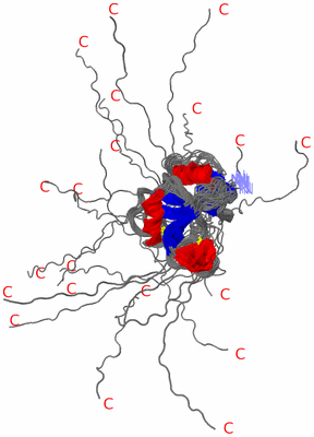 Image NMR Structure - all models