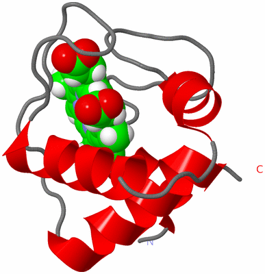 Image NMR Structure - model 1