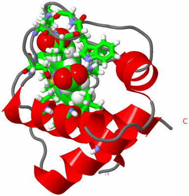 Image NMR Structure - model 1, sites