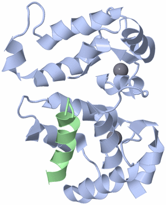 Image NMR Structure - model 1