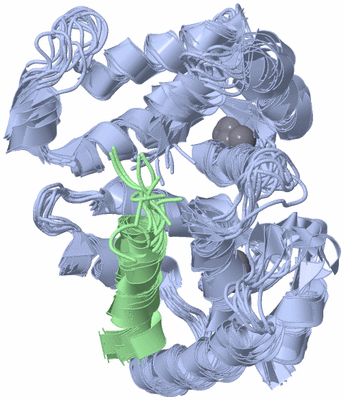 Image NMR Structure - all models