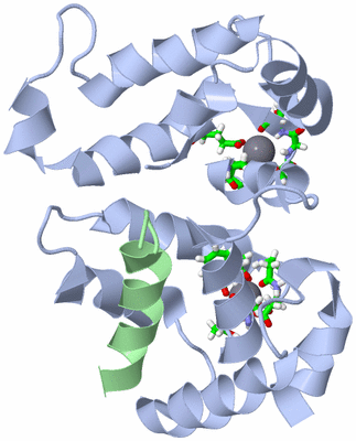 Image NMR Structure - model 1, sites