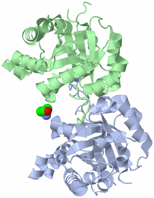 Image Biological Unit 1