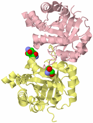 Image Biological Unit 2