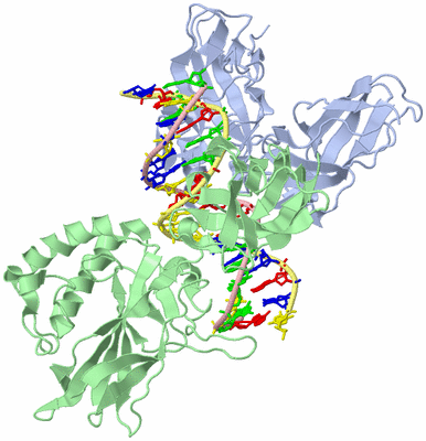 Image Asym./Biol. Unit