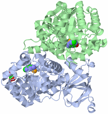 Image Asym./Biol. Unit