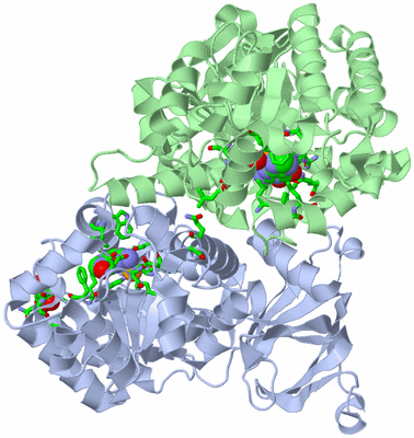 Image Asym./Biol. Unit - sites