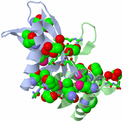 Image Asym./Biol. Unit - sites