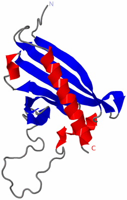 Image NMR Structure - model 1