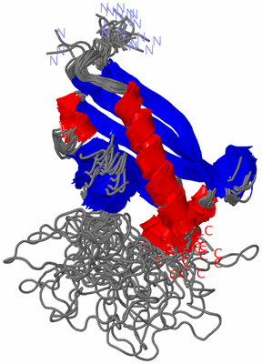 Image NMR Structure - all models