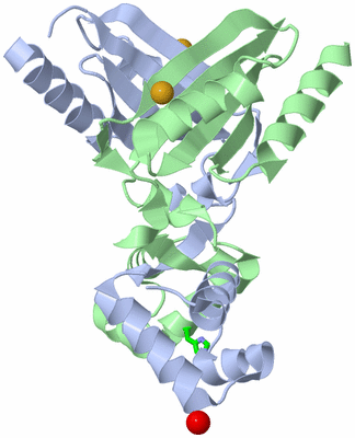 Image Asym./Biol. Unit - sites