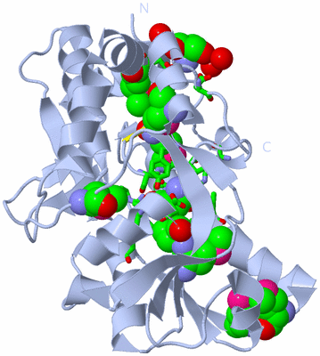 Image Biol. Unit 1 - sites