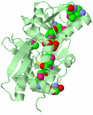 Image Biological Unit 2