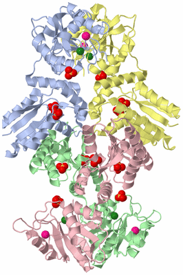 Image Biological Unit 1