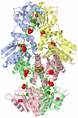 Image Biol. Unit 1 - sites