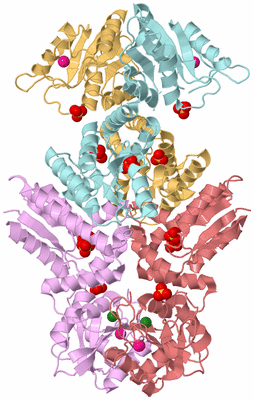 Image Biological Unit 2