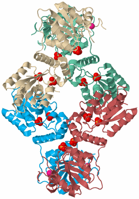 Image Biological Unit 3