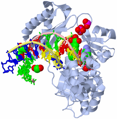 Image Biological Unit 1