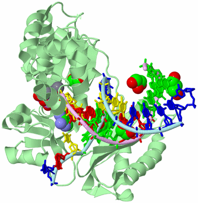 Image Biological Unit 2