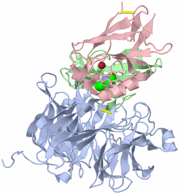 Image Biological Unit 1