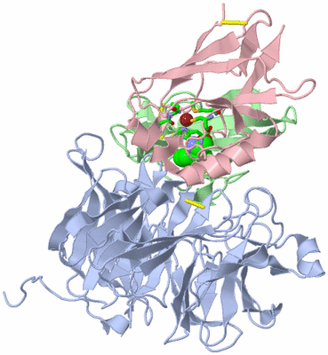 Image Biol. Unit 1 - sites