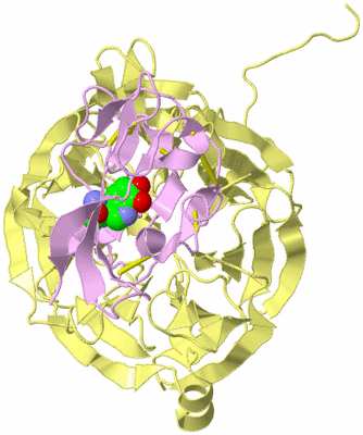 Image Biological Unit 2