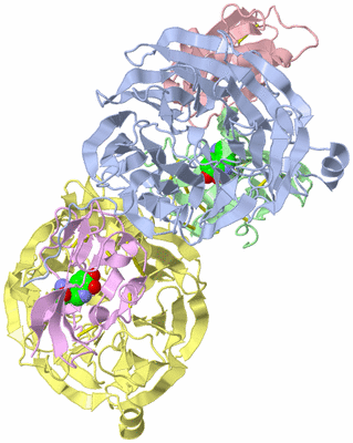 Image Biological Unit 3