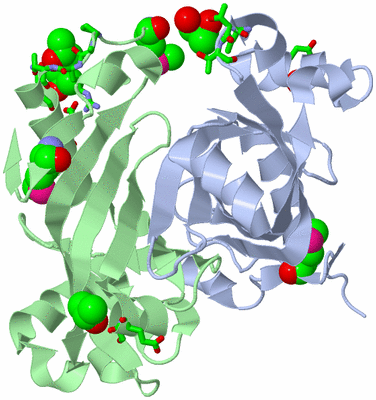 Image Biol. Unit 1 - sites