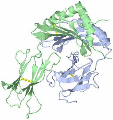 Image Biological Unit 2