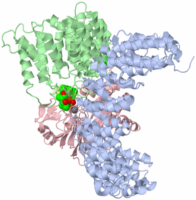 Image Biological Unit 1