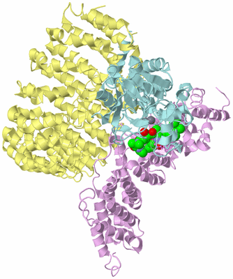 Image Biological Unit 2