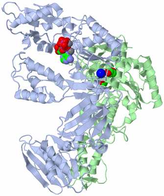 Image Asym./Biol. Unit