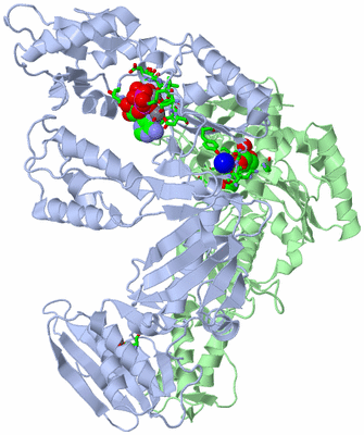 Image Asym./Biol. Unit - sites