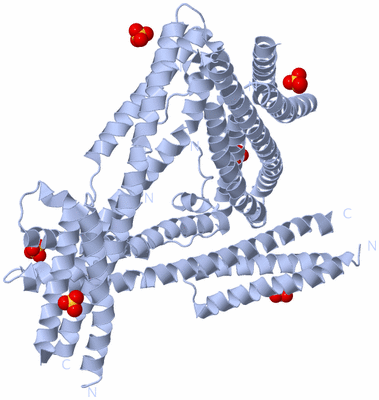 Image Biological Unit 3