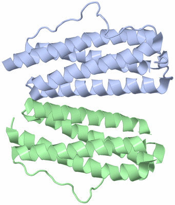 Image Asymmetric Unit