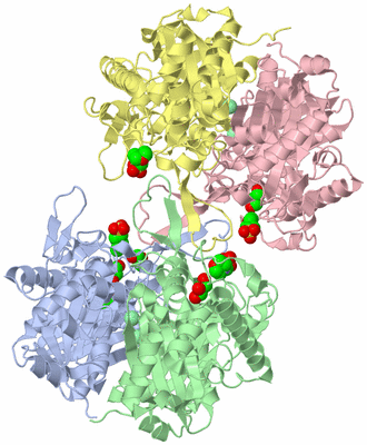 Image Asym./Biol. Unit