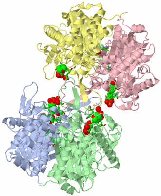 Image Asym./Biol. Unit - sites