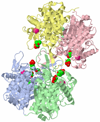 Image Asym./Biol. Unit