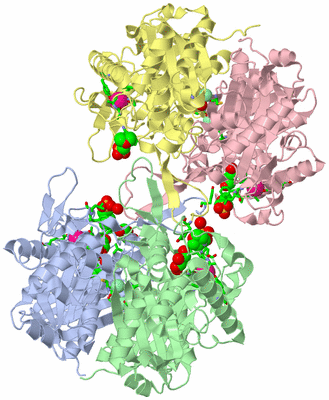 Image Asym./Biol. Unit - sites