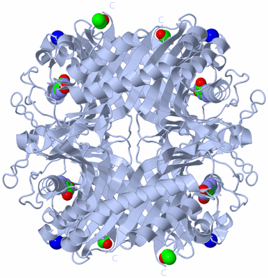 Image Biological Unit 1